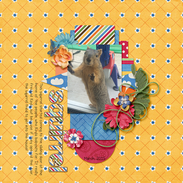 squirrel