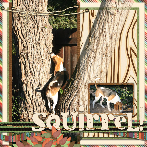 Squirrel!