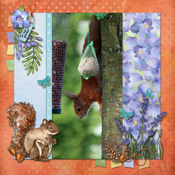 Squirrel