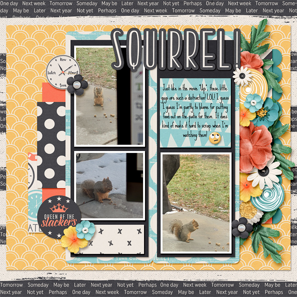 Squirrel!