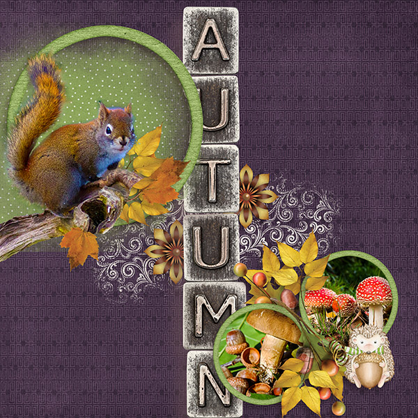 Squirrel