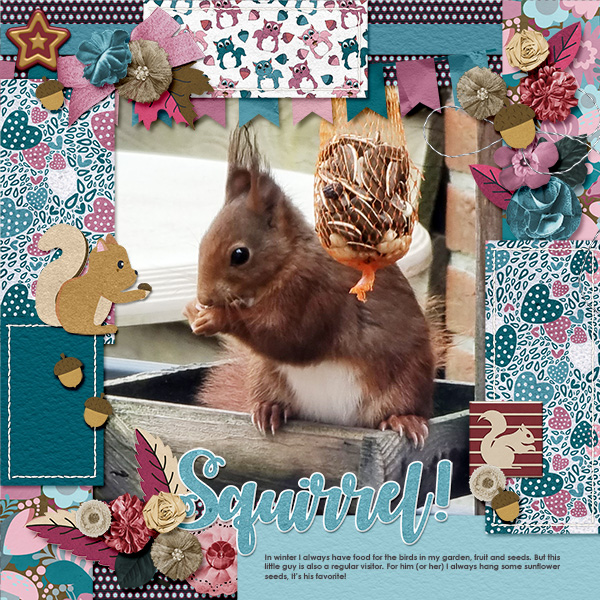Squirrel