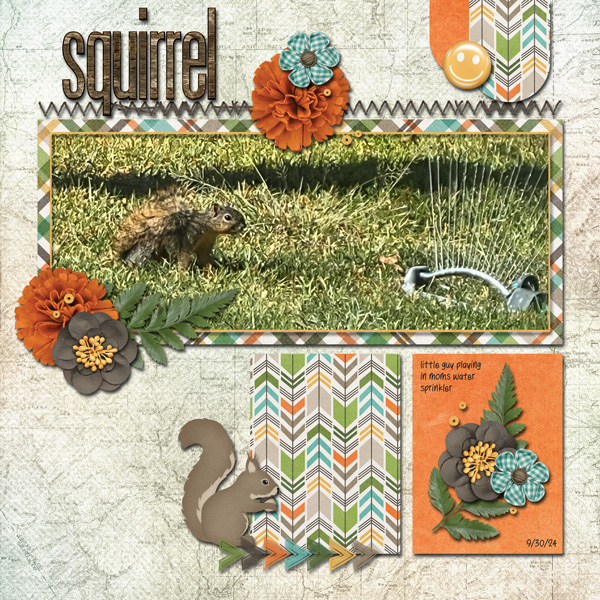 Squirrel