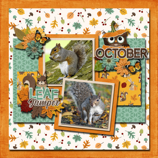 Squirrel