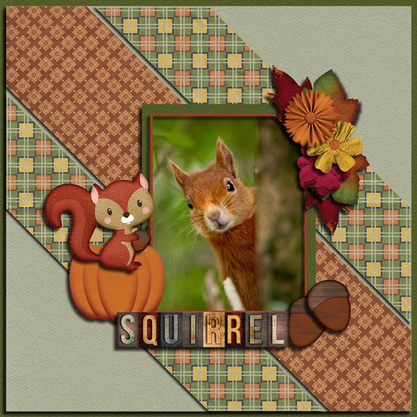 Squirrel