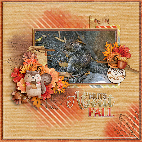 Squirrel4