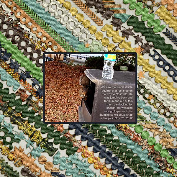 Squirrel_web