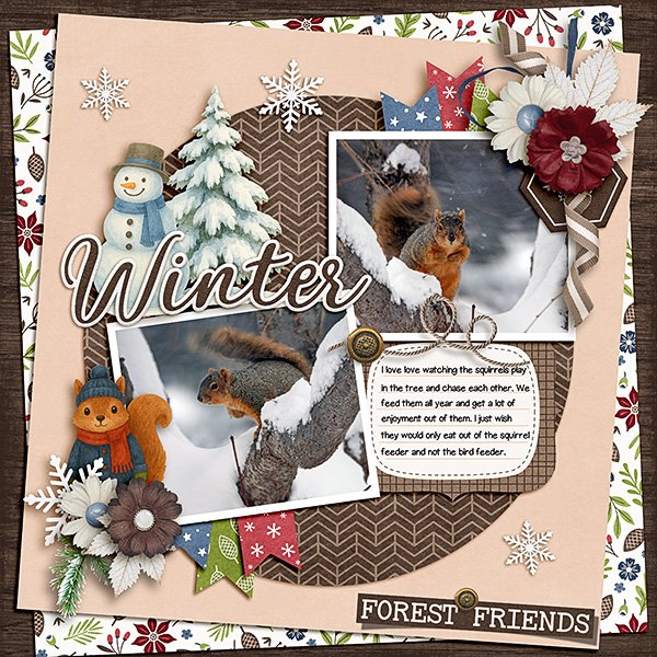 Squirrels-ini-Winter.jpg