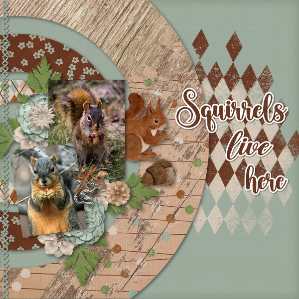 Squirrels Live Here