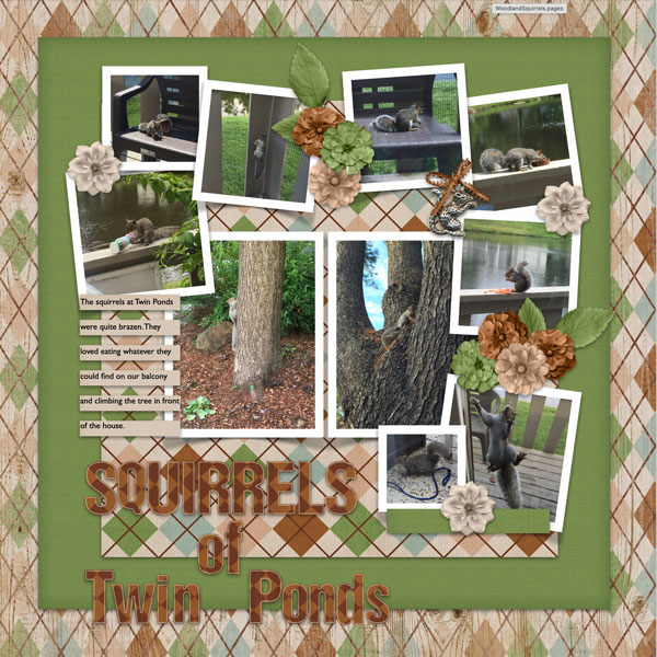 Squirrels of Twin Ponds