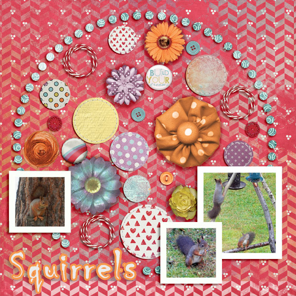 Squirrels
