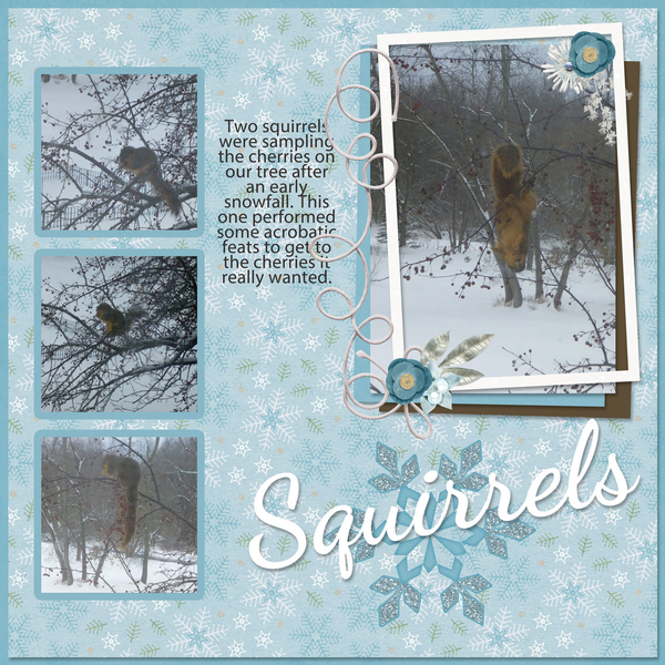 Squirrels