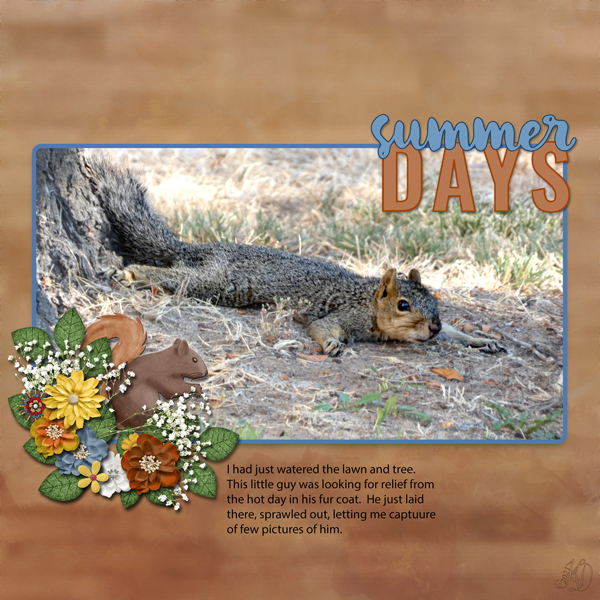 Squirrely summer day