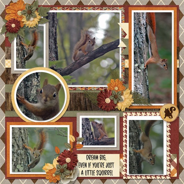 Squirrely
