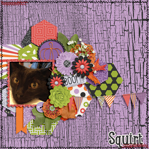 Squirt