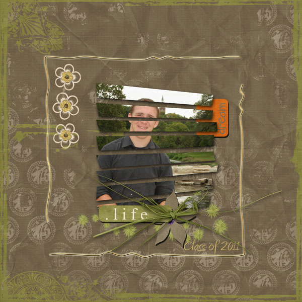 sr pic 1