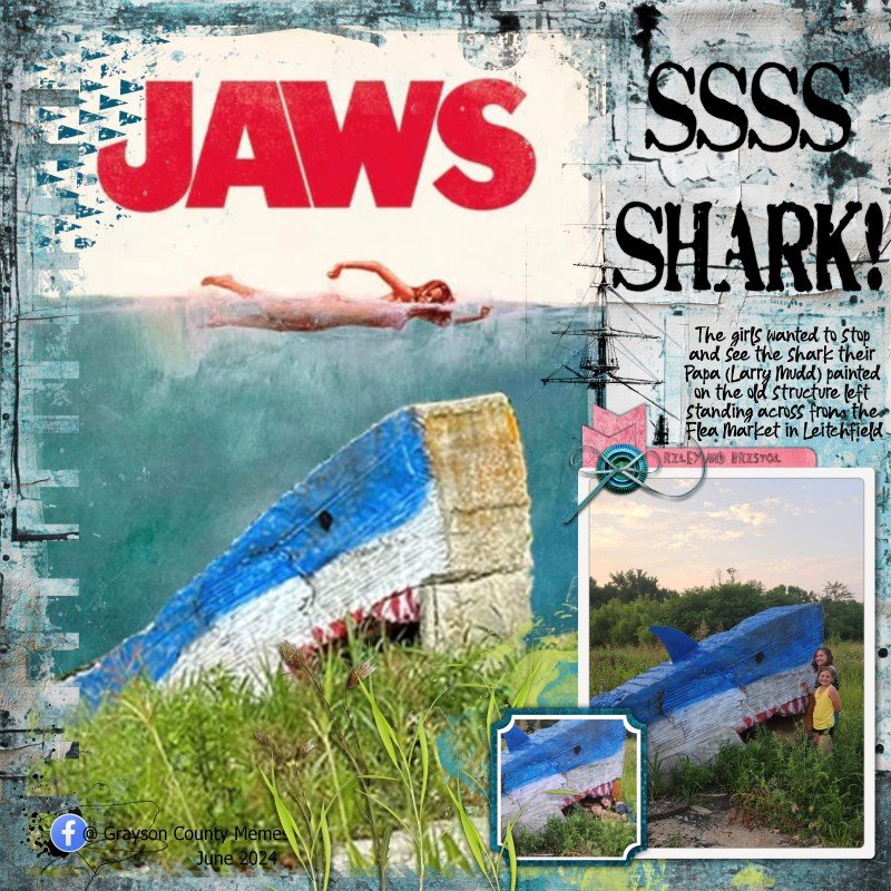 SSSSHARK!