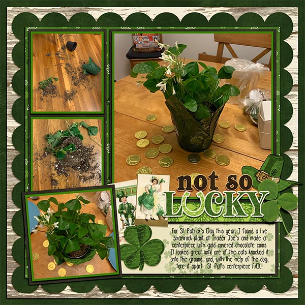 St Pats 19