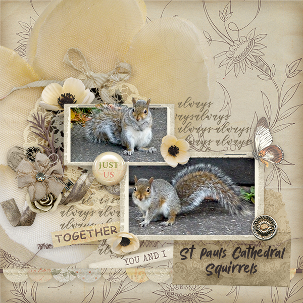 St Pauls Squirrels
