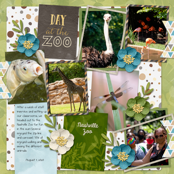 Staff Day at Zoo