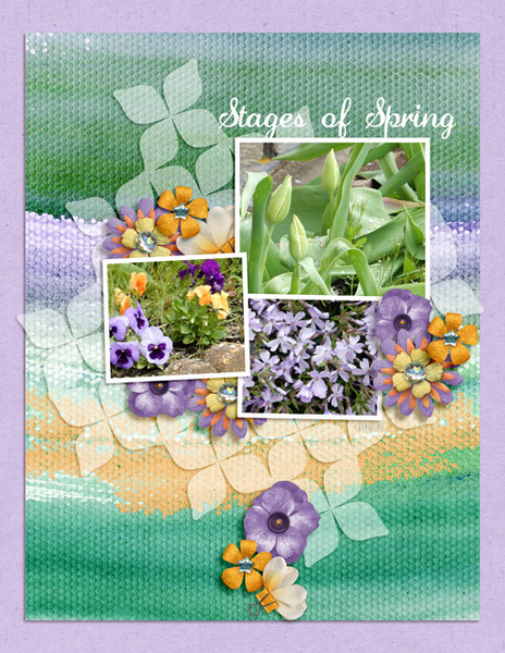 Stages of Spring