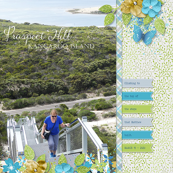 Stair Climbing