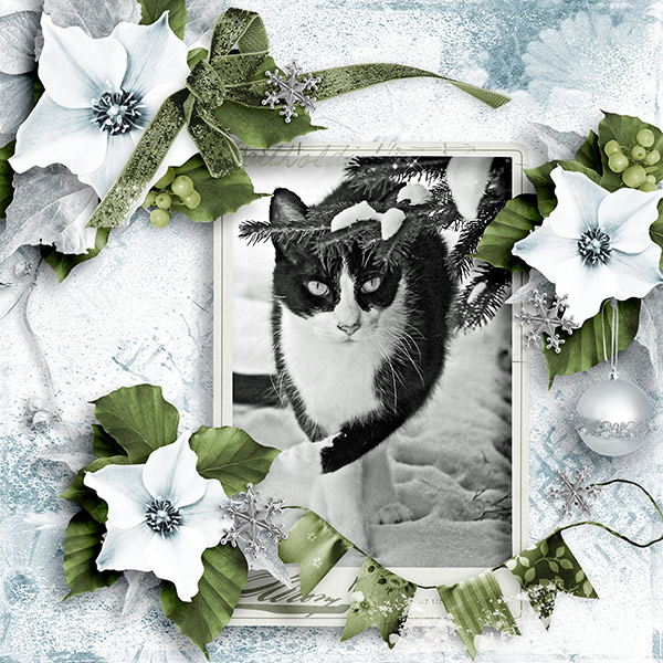 Stalking the ornament