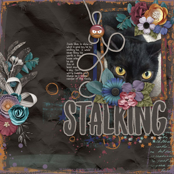 Stalking