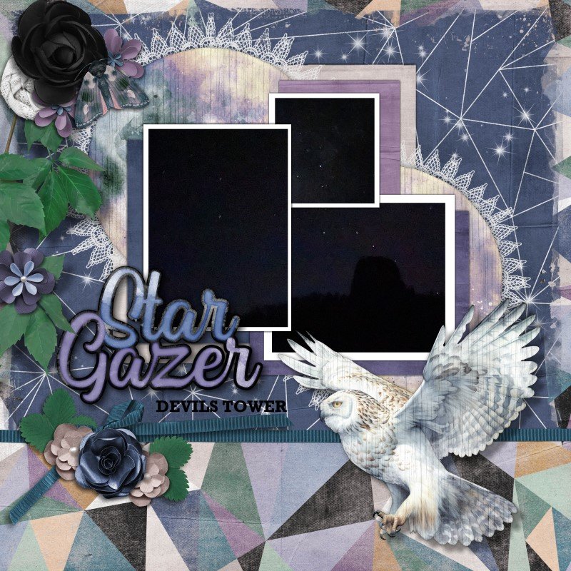 Star Gazer