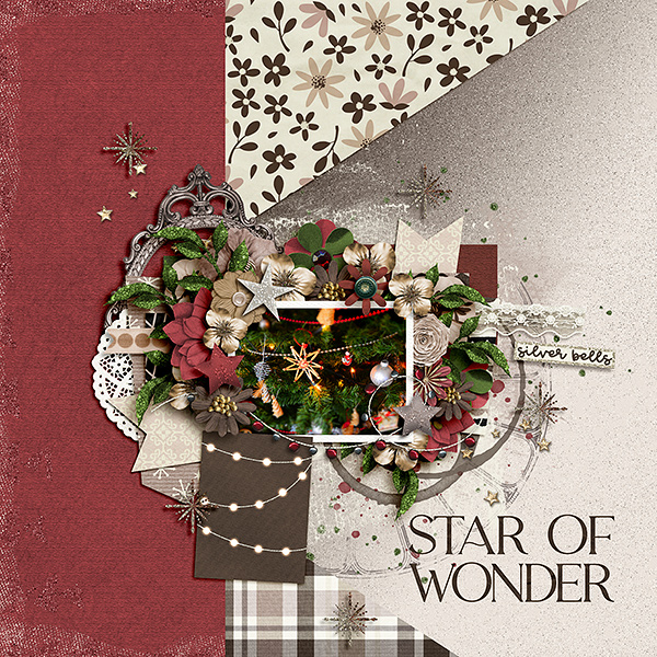 Star Of Wonder