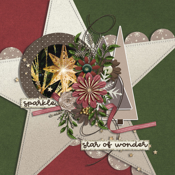 star of wonder