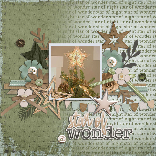 star of wonder
