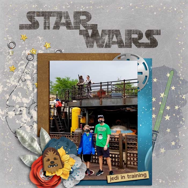 Star Wars Chewy and Rey