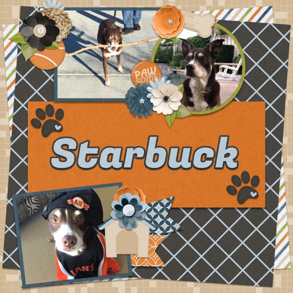 Starbuck