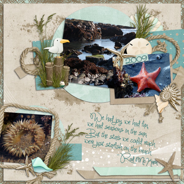 Starfish on the Beach