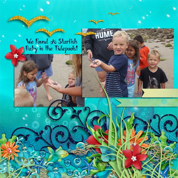 Starfish_in_the_Tidepools