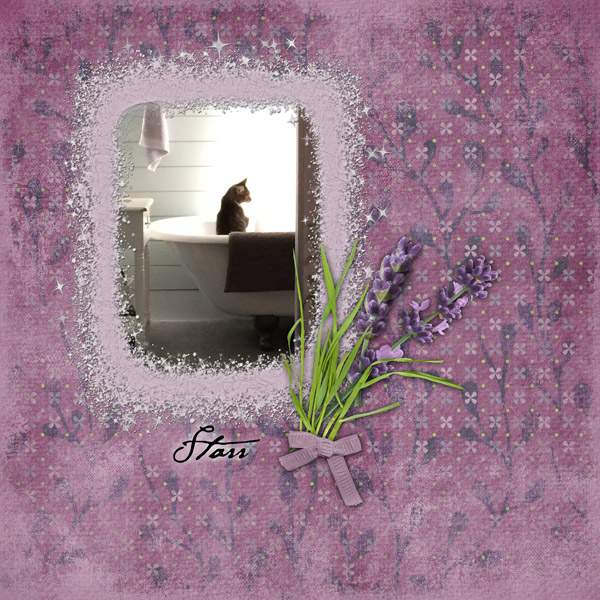 Starr
