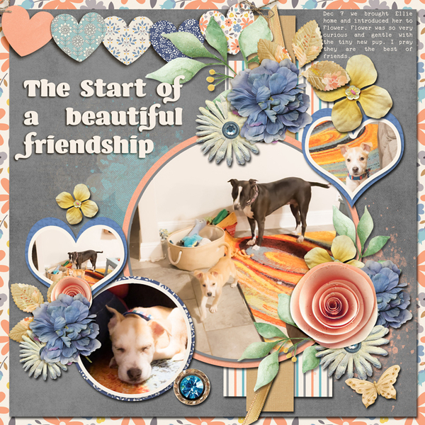 Start of Friendship
