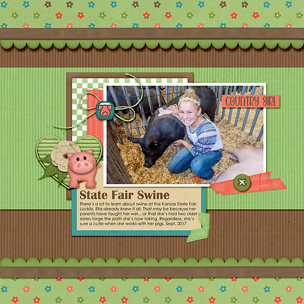 State Fair Swine