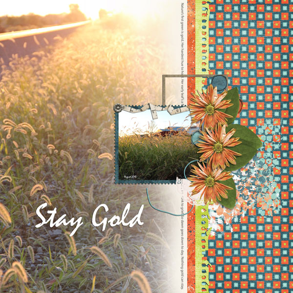 Stay Gold