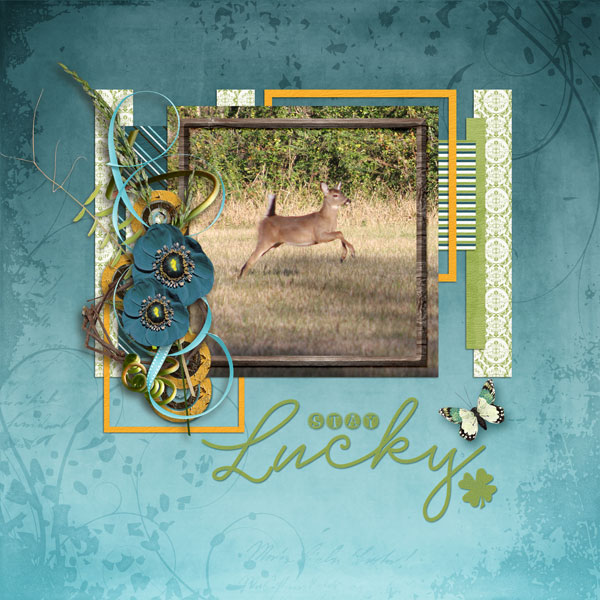 Stay Lucky