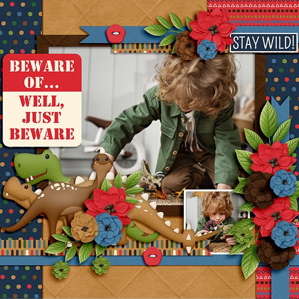 Stay Wild.jpg