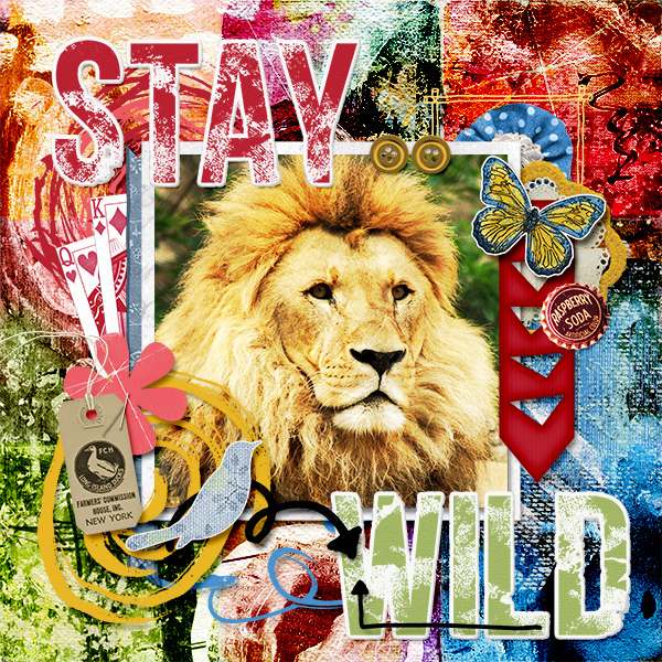 Stay Wild
