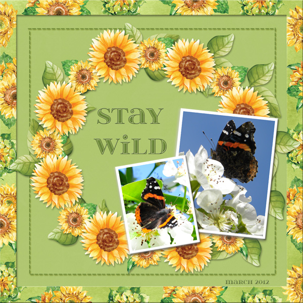 Stay Wild