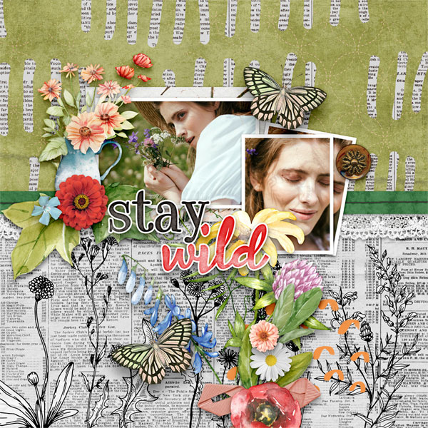 Stay Wild