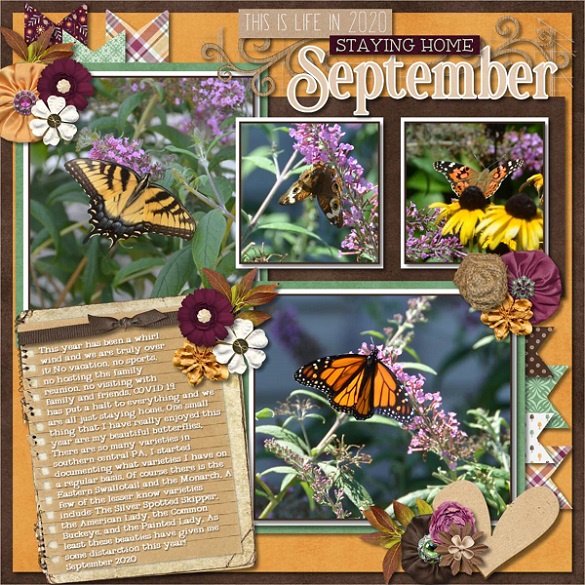 Staying Home September