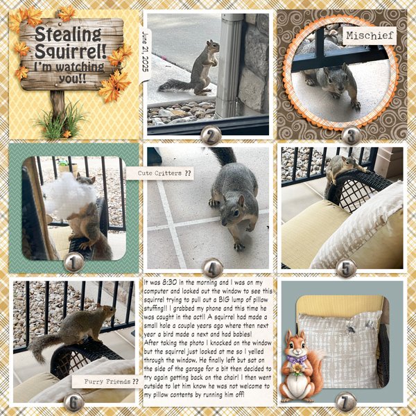 StealingSquirrel25.jpg