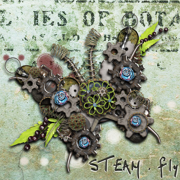STEAMfly