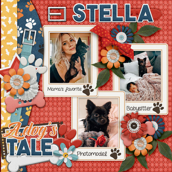 Stella-600