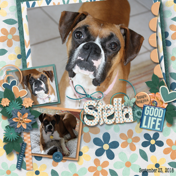 Stella